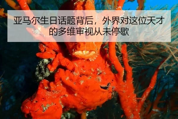 亚马尔生日话题背后，外界对这位天才的多维审视从未停歇